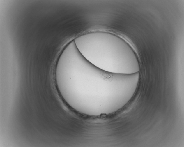 X0000113740433200910071049