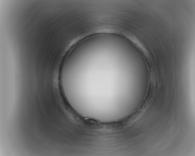 X0000113740434200910071049