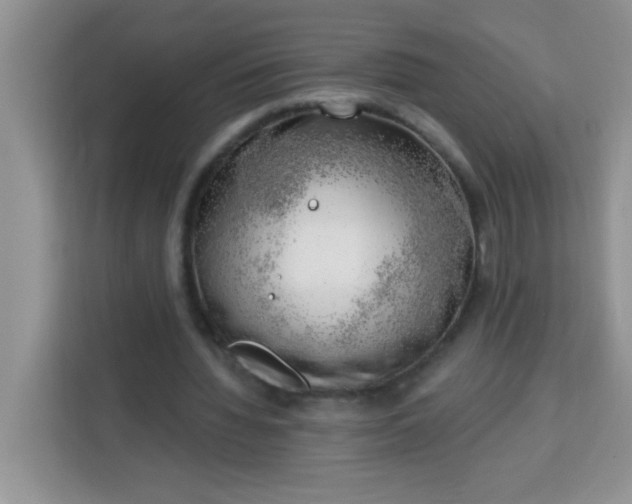 X0000113740436200910071049