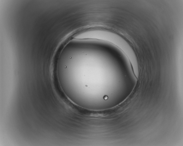 X0000113740440200910071049