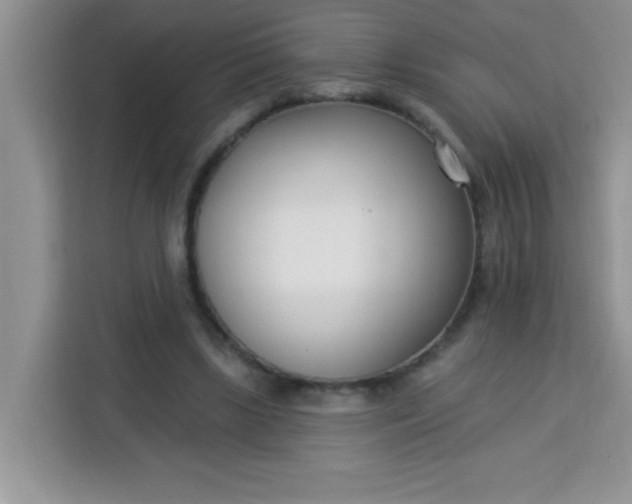 X0000113740443200910071049