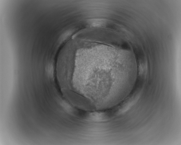 X0000113740444200910071049