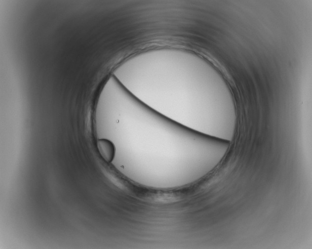 X0000113740445200910071049