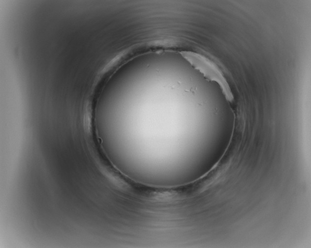 X0000113740446200910071049