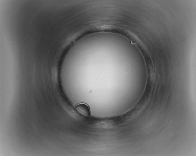 X0000113740447200910071049