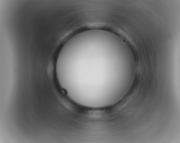 X0000113740448200910071049