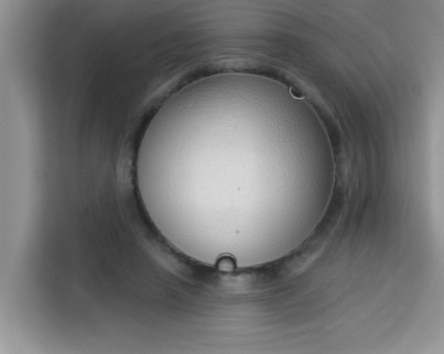 X0000113740450200910071049