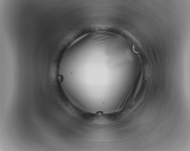 X0000113740451200910071049