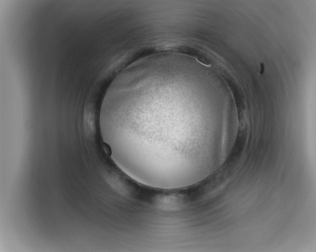 X0000113740452200910071049