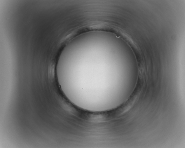 X0000113740454200910071049