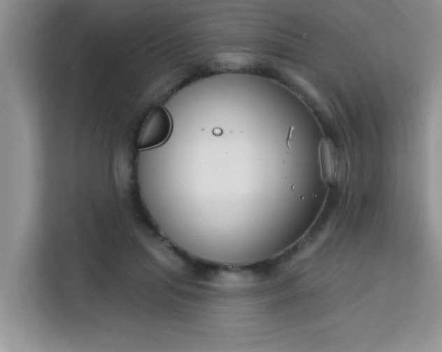 X0000113740455200910071049