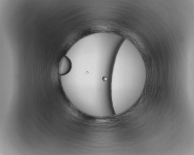 X0000113740457200910071049