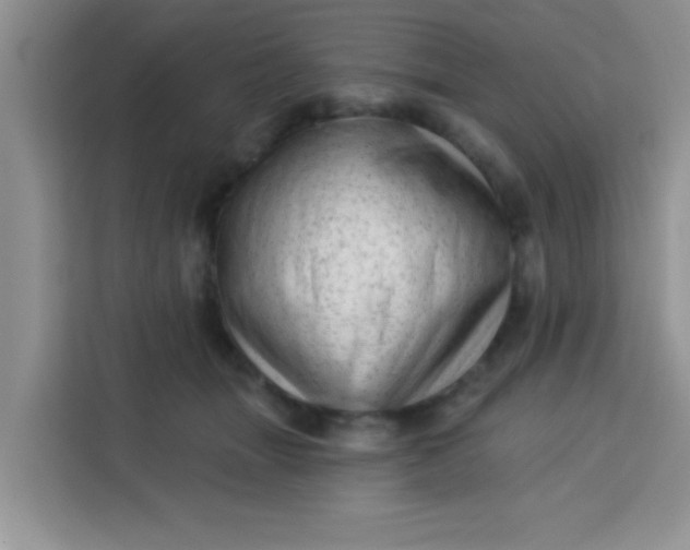 X0000113740463200910071049