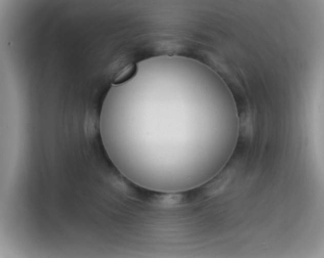 X0000113740474200910071049