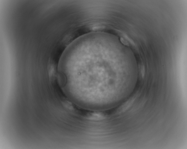 X0000113740475200910071049