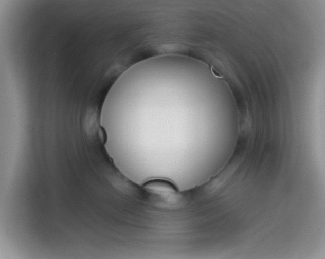 X0000113740478200910071049