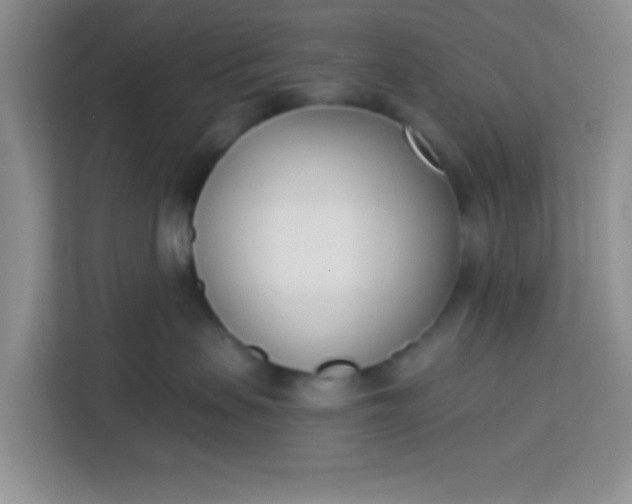 X0000113740479200910071049