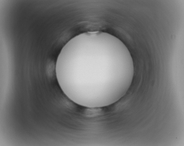 X0000113740480200910071049