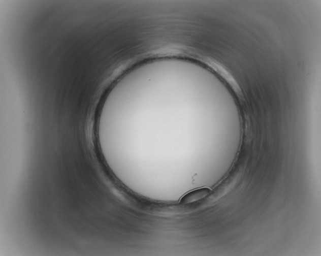 X0000113740485200910071049