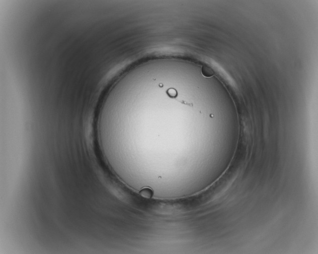 X0000113740487200910071049