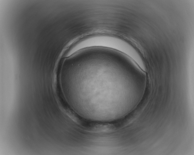 X0000113740488200910071049