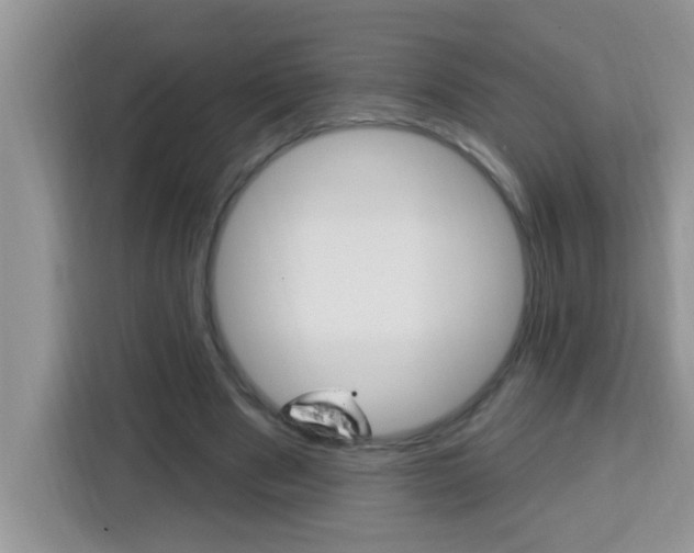 X0000113740489200910071049