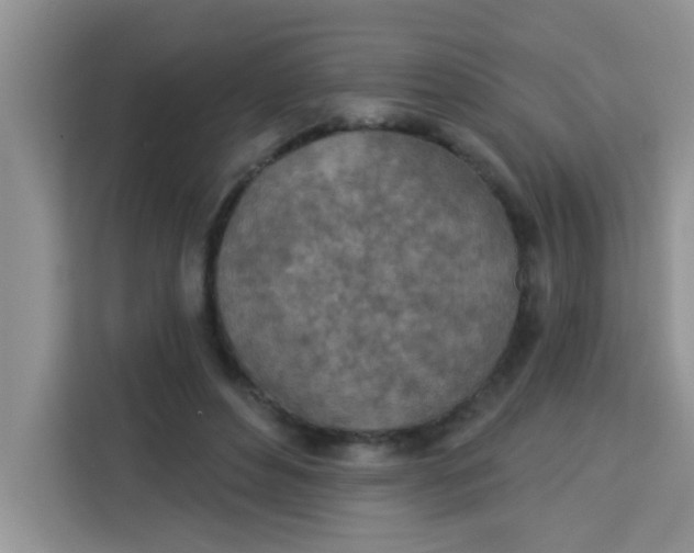 X0000113740496200910071049