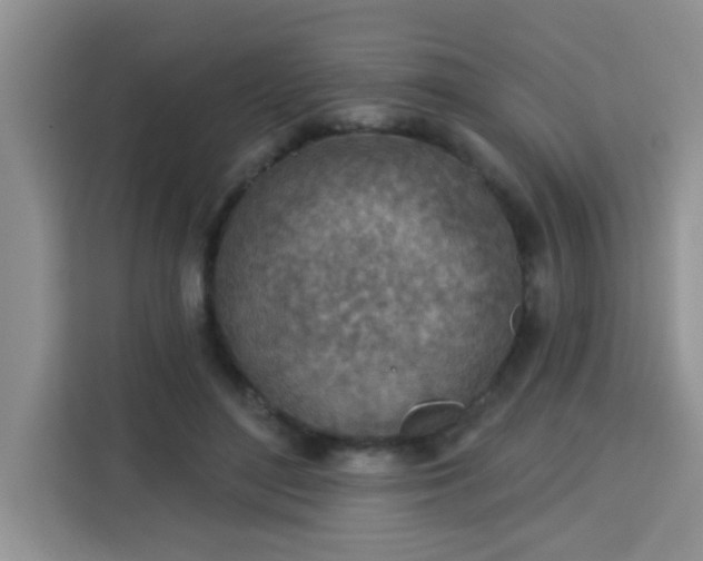 X0000113740500200910071049