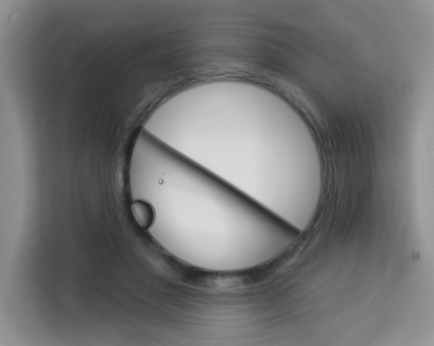 X0000113740501200910071049