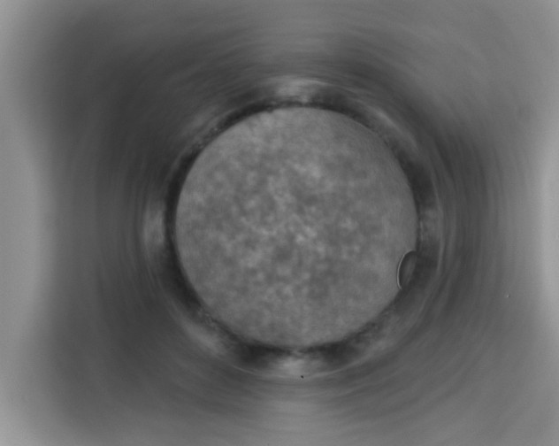 X0000113740504200910071049