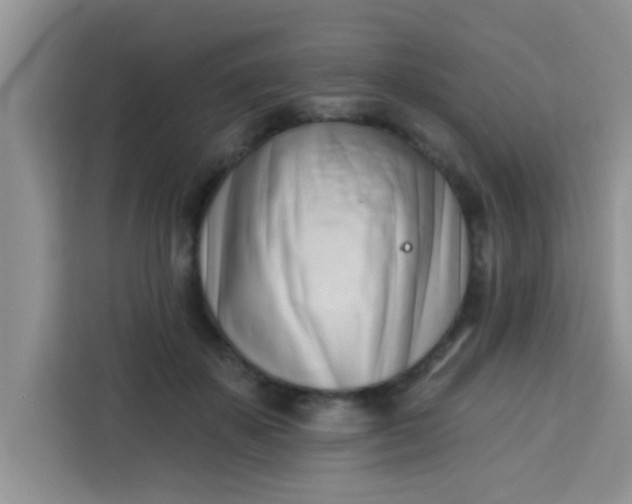 X0000113740507200910071049