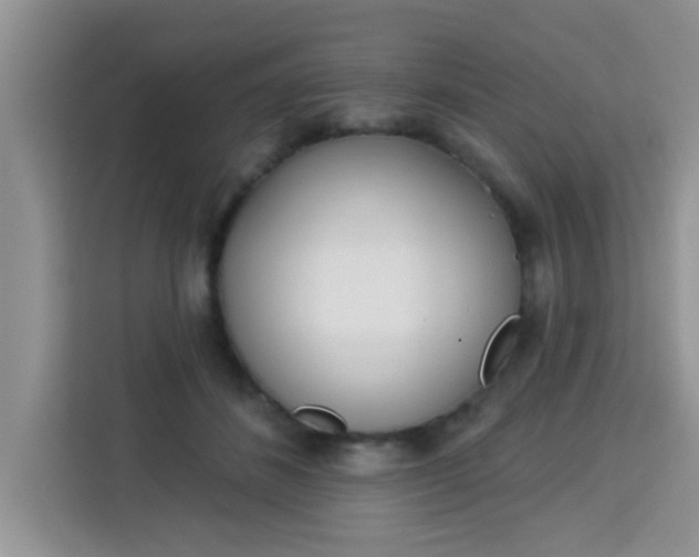 X0000113740508200910071049