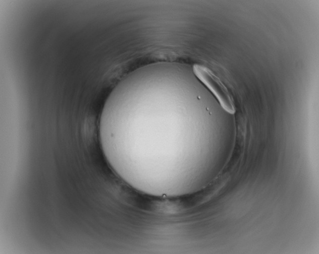 X0000113740511200910071048