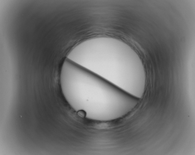 X0000113740513200910071048