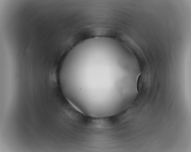 X0000113740516200910071048