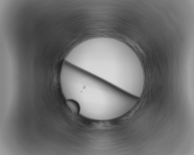 X0000113740517200910071048