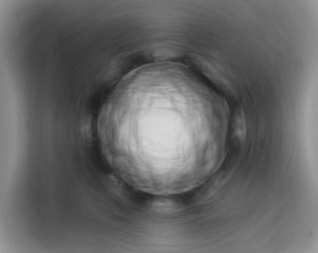 X0000113740519200910071048