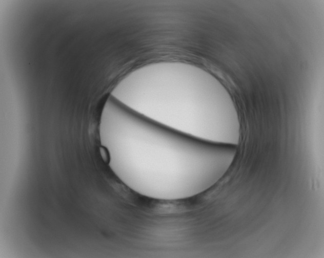 X0000113740521200910071048