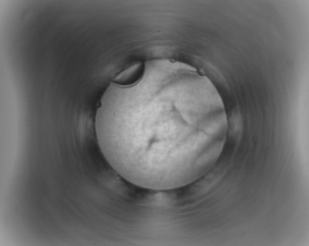 X0000113740522200910071048