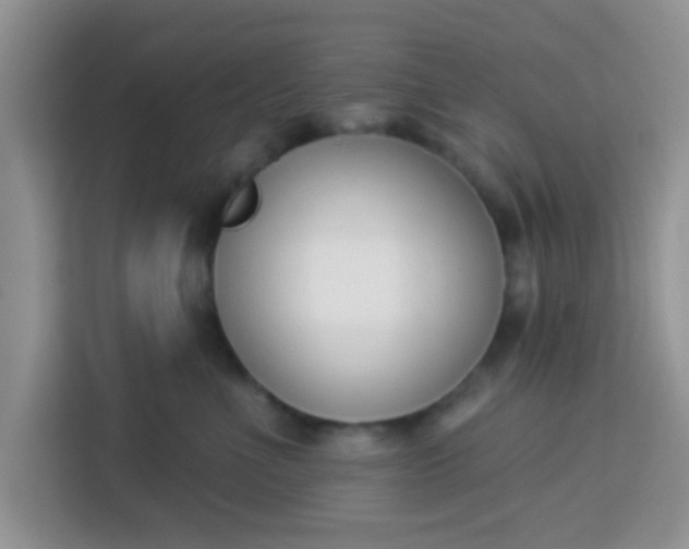 X0000113740523200910071048