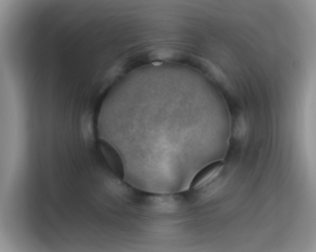 X0000113740524200910071048