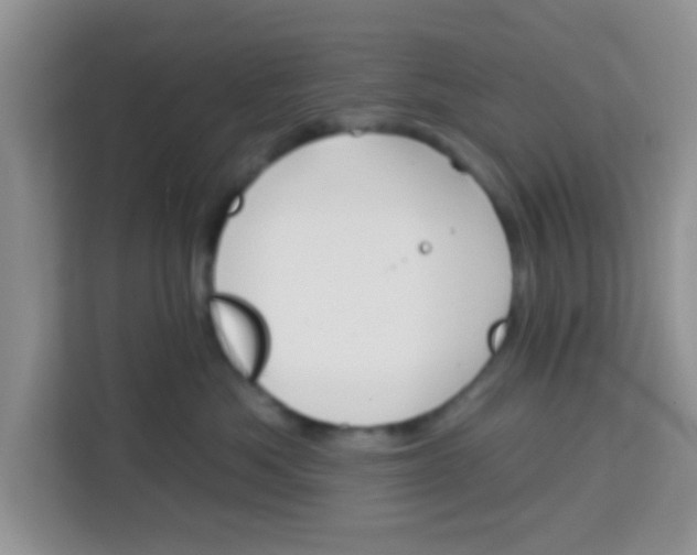 X0000113740525200910071048