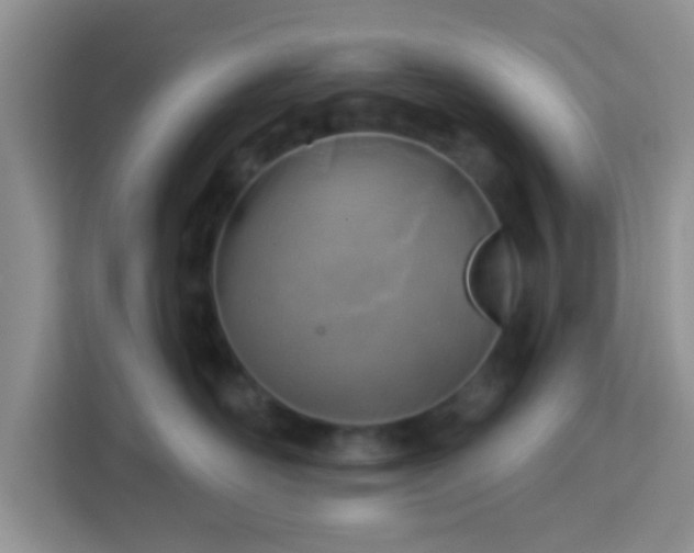 X0000113740526200910071048