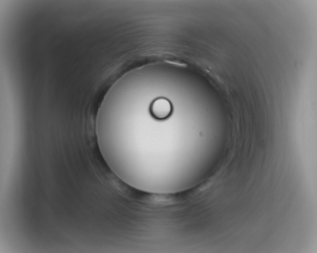 X0000113740528200910071048