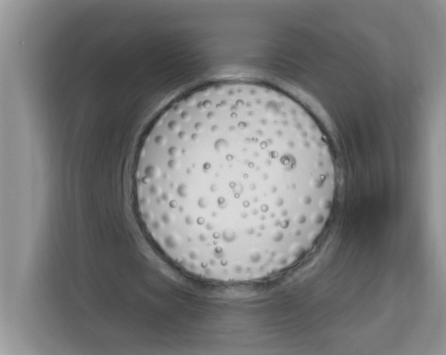 X0000113740529200910071048