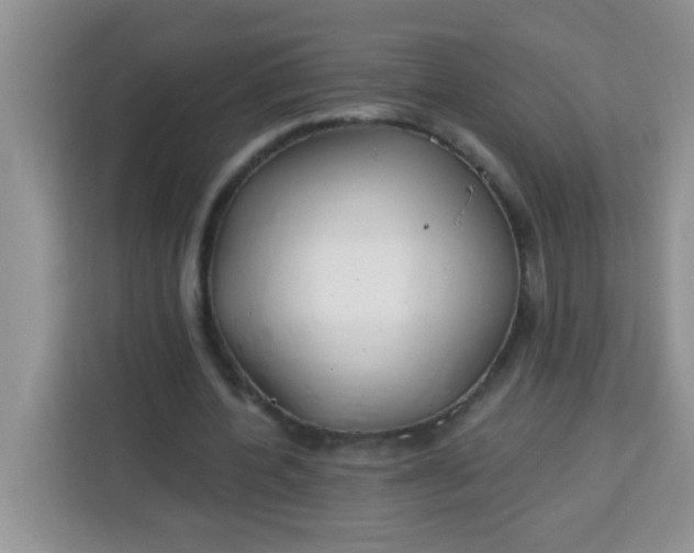 X0000113740532200910071048