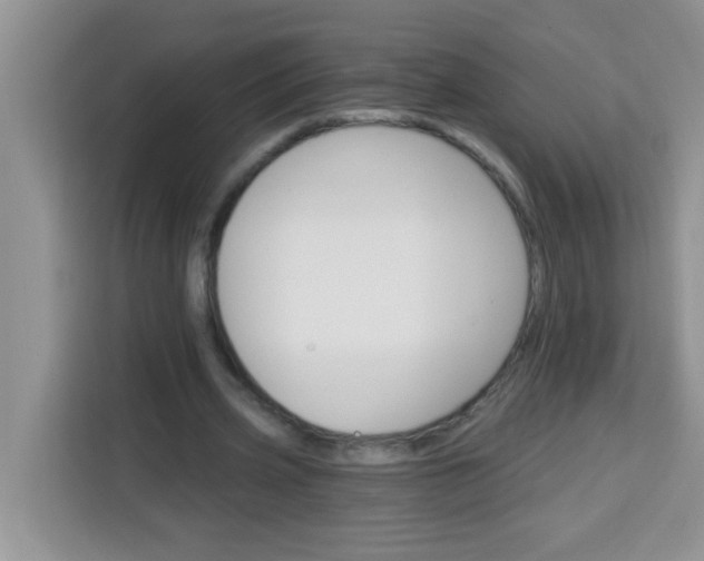 X0000113740533200910071048