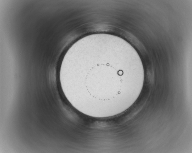 X0000113740534200910071048