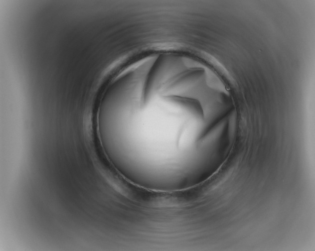 X0000113740535200910071048