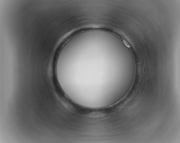 X0000113740536200910071048